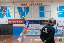 dsc0178.webp