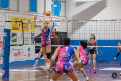 dsc0195.webp