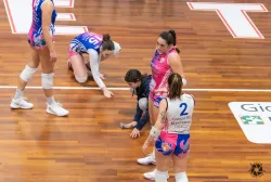 dsc0242.webp