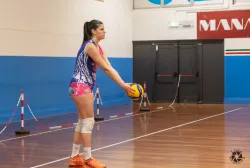 dsc0339.webp