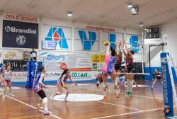dsc0352.webp