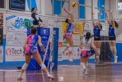 dsc0693.webp