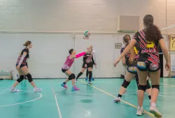 dsc0805.webp