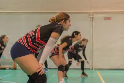 dsc0822.webp