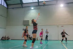 dsc0827.webp