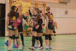 dsc0879.webp