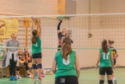 dsc0944.webp
