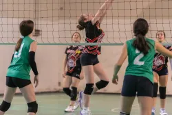 dsc0959.webp
