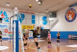 dsc1090.webp