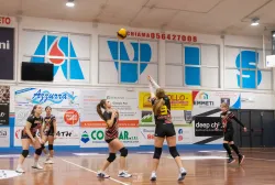 dsc1114.webp