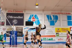 dsc1119.webp