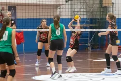 dsc1207.webp
