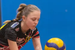 dsc1262.webp