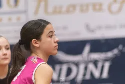 dsc1264.webp