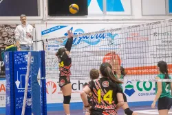 dsc1267.webp