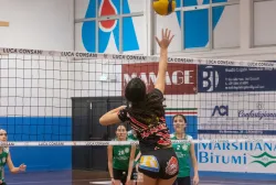 dsc1303.webp