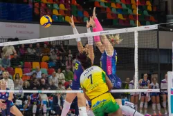 dsc1502.webp