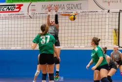 dsc1965.webp