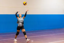 dsc2026.webp