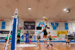 dsc2104.webp