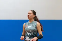 dsc2124.webp