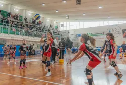 dsc3574.webp