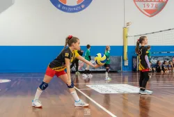 dsc3660.webp