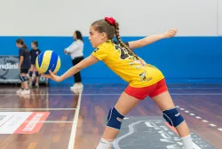 dsc3758.webp