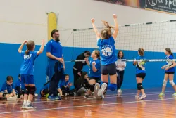 dsc3770.webp