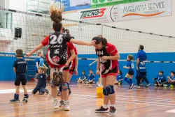 dsc3784.webp