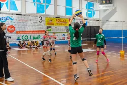 dsc3867.webp