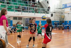 dsc3870.webp