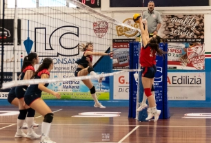 dsc0392.webp