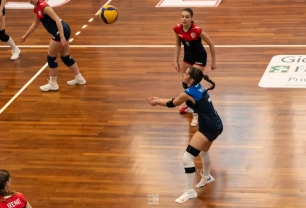 dsc0414.webp