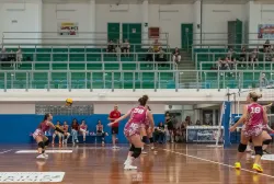 dsc2218.webp
