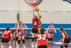 dsc2271.webp