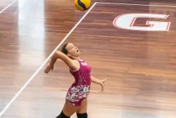 dsc2322.webp
