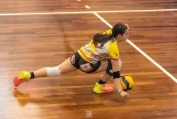 dsc2325.webp