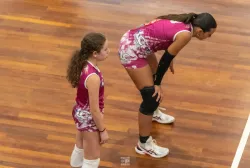 dsc2334.webp