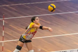 dsc2391.webp
