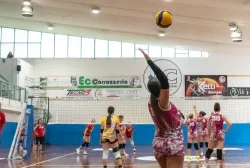 dsc2418.webp