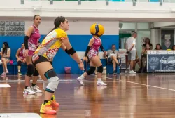 dsc2431.webp