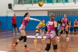 dsc2436.webp