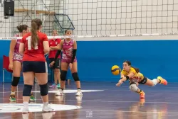 dsc2483.webp