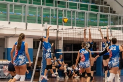 dsc2558.webp