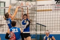 dsc2564.webp