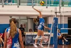 dsc2573.webp