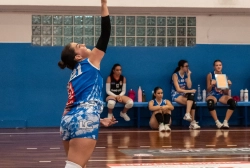 dsc2581.webp