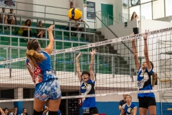 dsc2582.webp