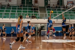 dsc2590.webp